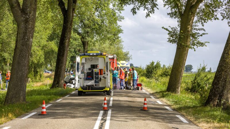 Man ernstig gewond na botsing tegen boom langs Rijksweg