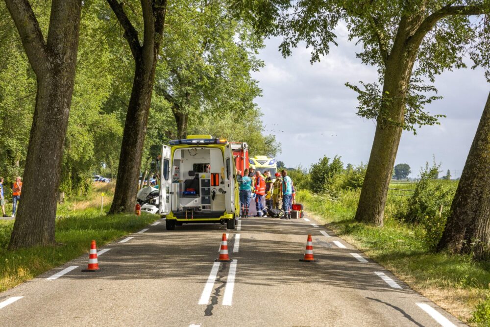 Man ernstig gewond na botsing tegen boom langs Rijksweg