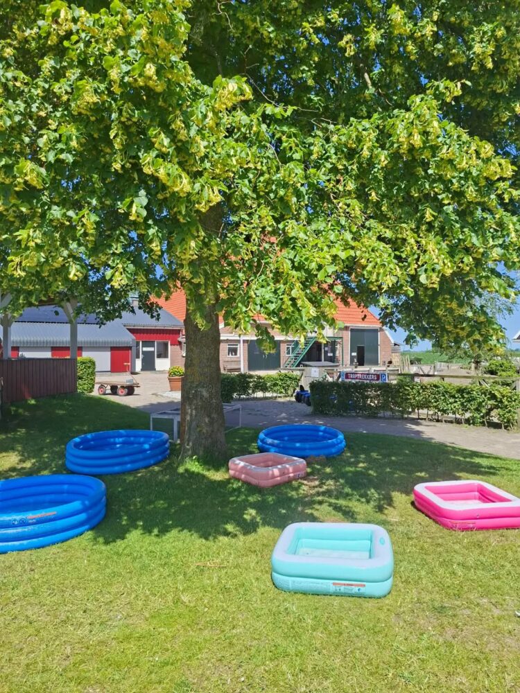 Kinderboerderij Doniastate zet spetterbadjes buiten vanwege warm weer