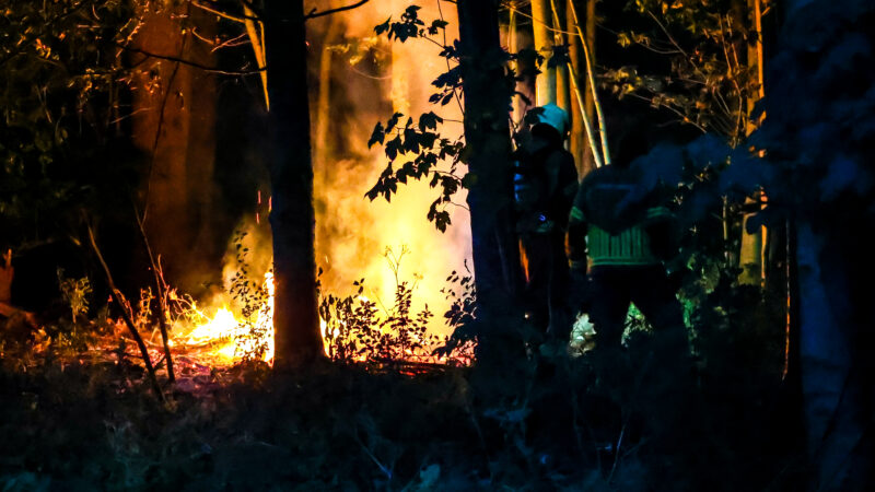 Bosbrand uitgebroken aan Philibert Grimaudpad in Leeuwarden