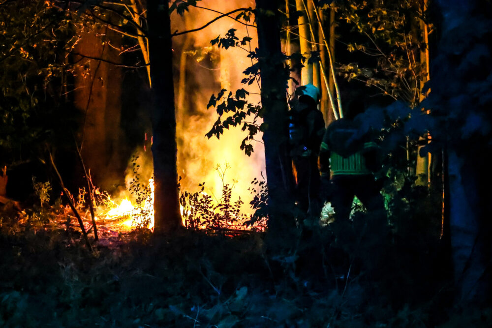 Bosbrand uitgebroken aan Philibert Grimaudpad in Leeuwarden