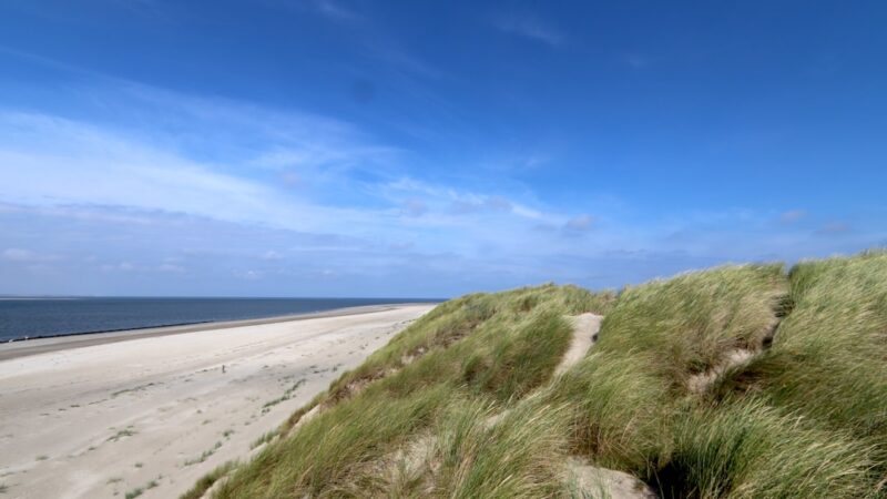 Sport en bewegen in leeuwarden: hoe nieuwe trends onze stad en dorpen versterken