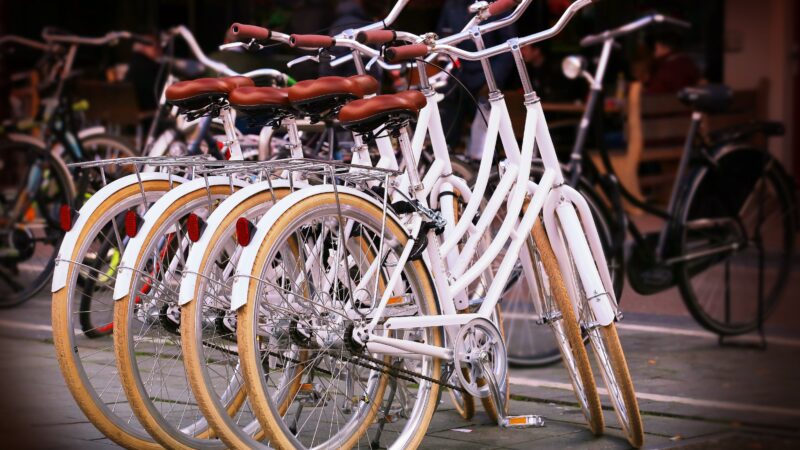 Leeuwarden zoekt Fietsburgemeester