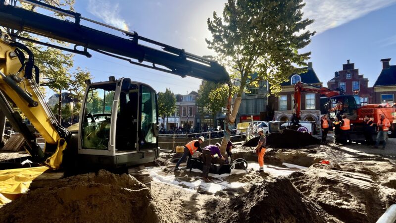 Nieuwestad krijgt twee keer zoveel bomen, maar zestien lindebomen verdwijnen